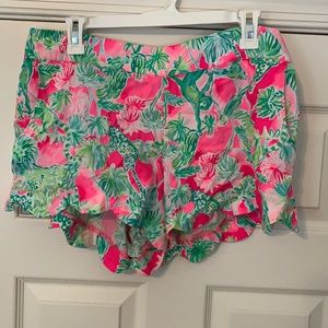 Lily, xl, scallop